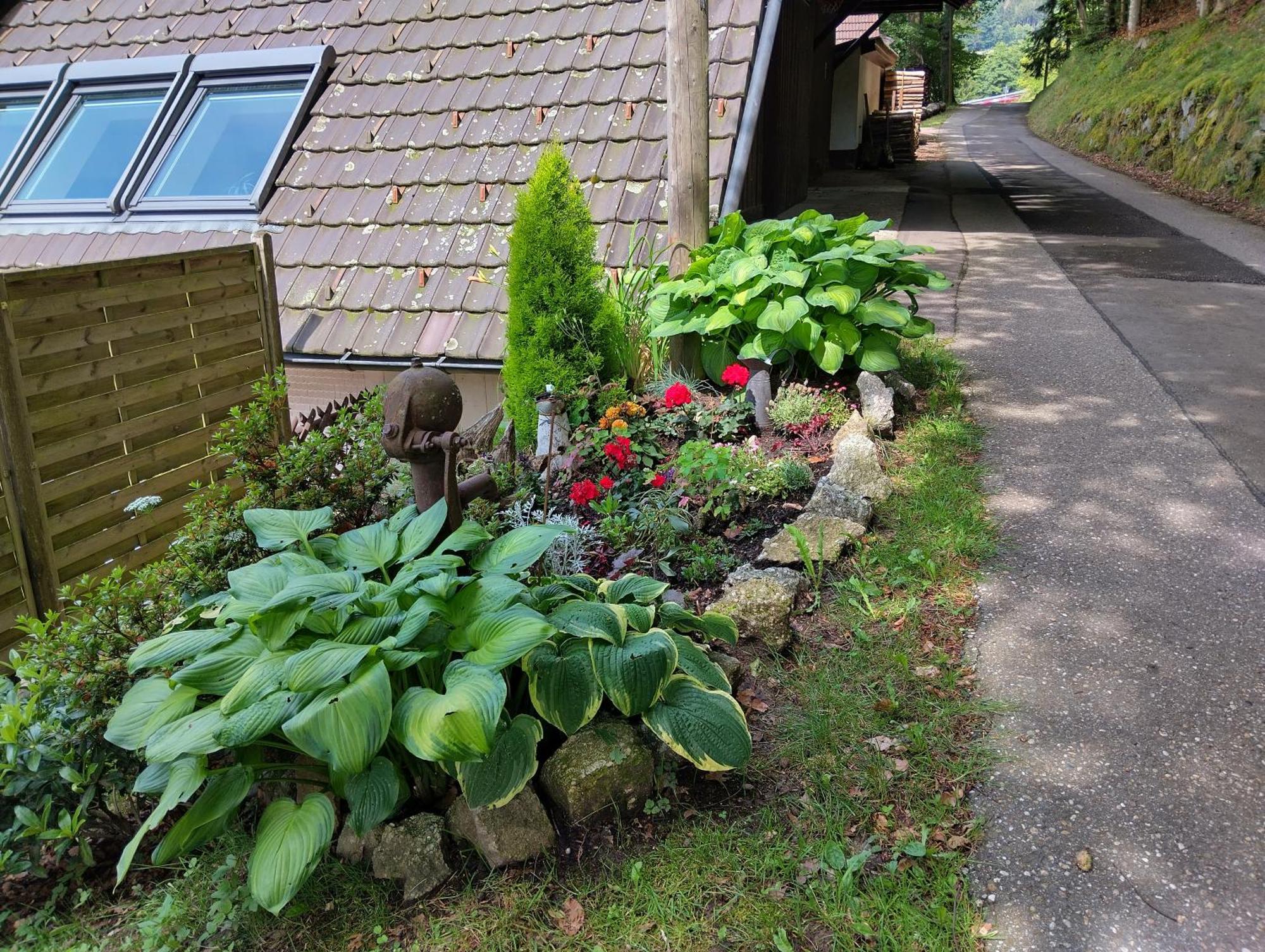 Haus "Guck - Ins - Tal" Apartment Sasbachwalden Exterior photo
